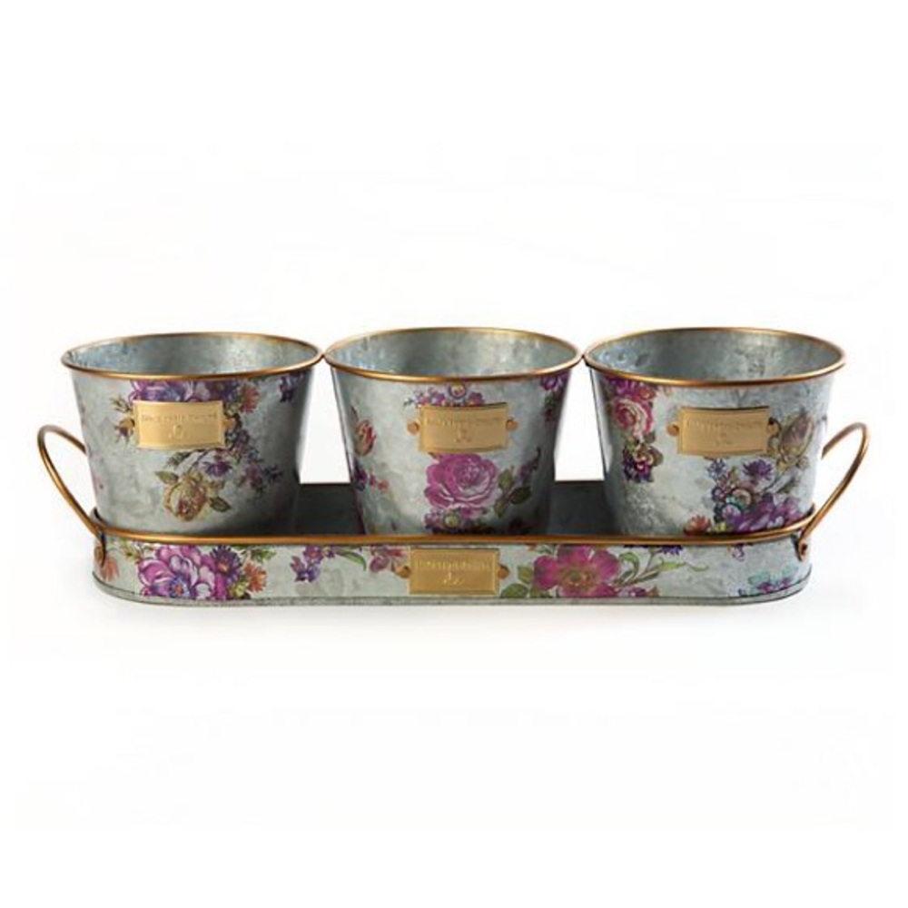 Mackenzie Childs Galvanized Herb Pots & Tray